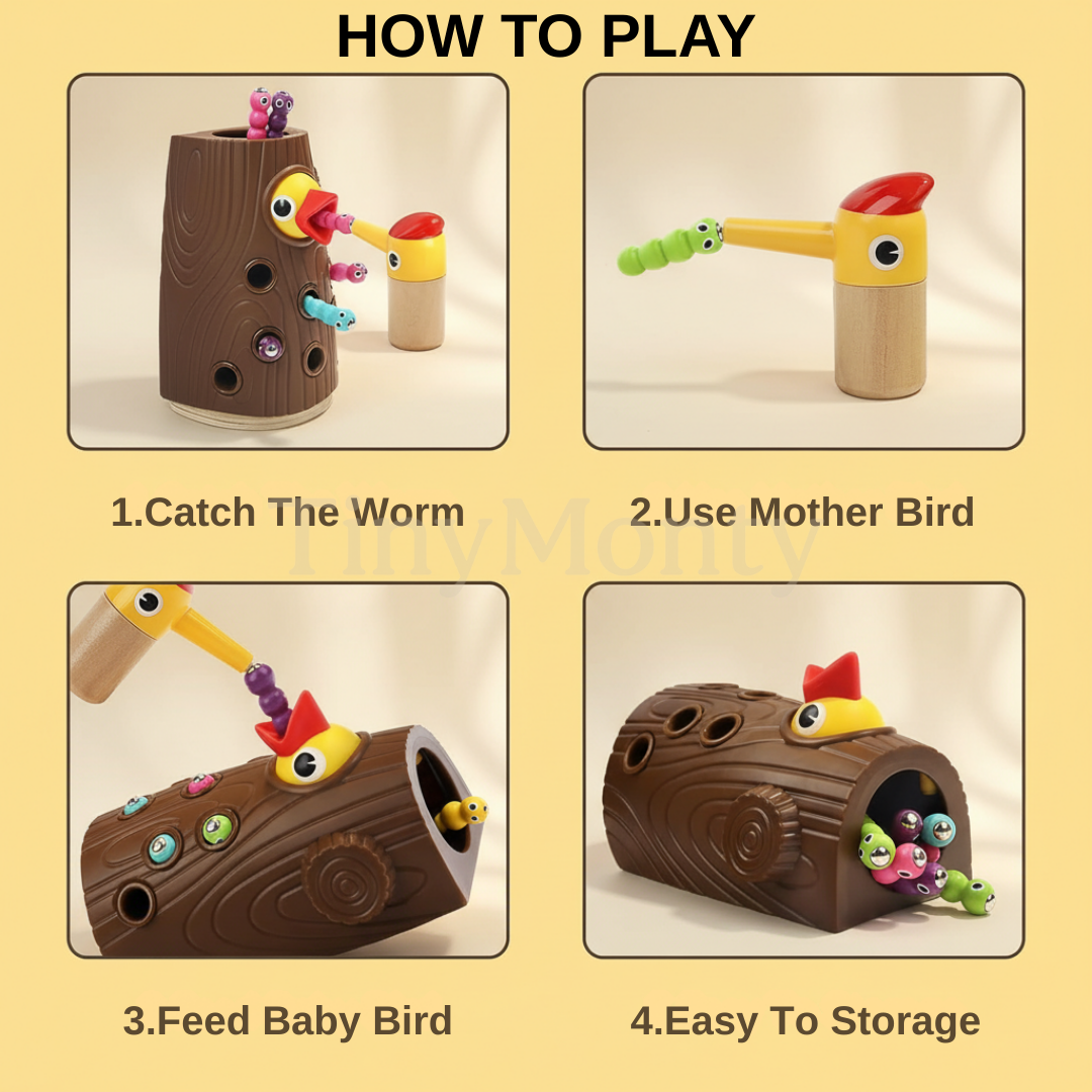 Fine Motor Discovery Kit