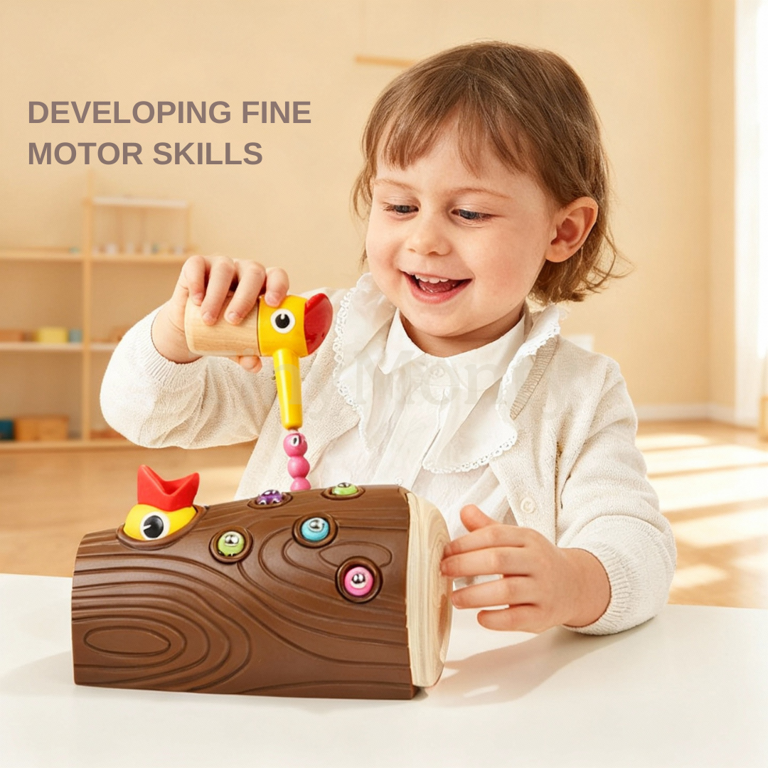 Fine Motor Discovery Kit